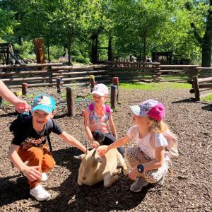 zoo11.jpg