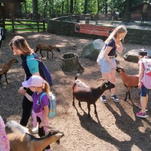 zoo34.jpg