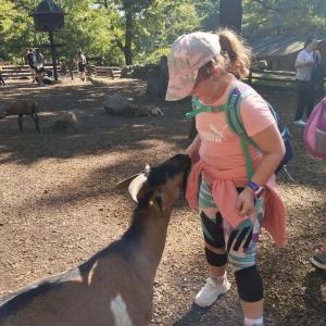 zoo45.jpg