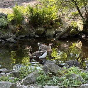 zoo_1a9B_03