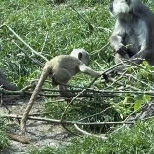 zoo_1a9B_04